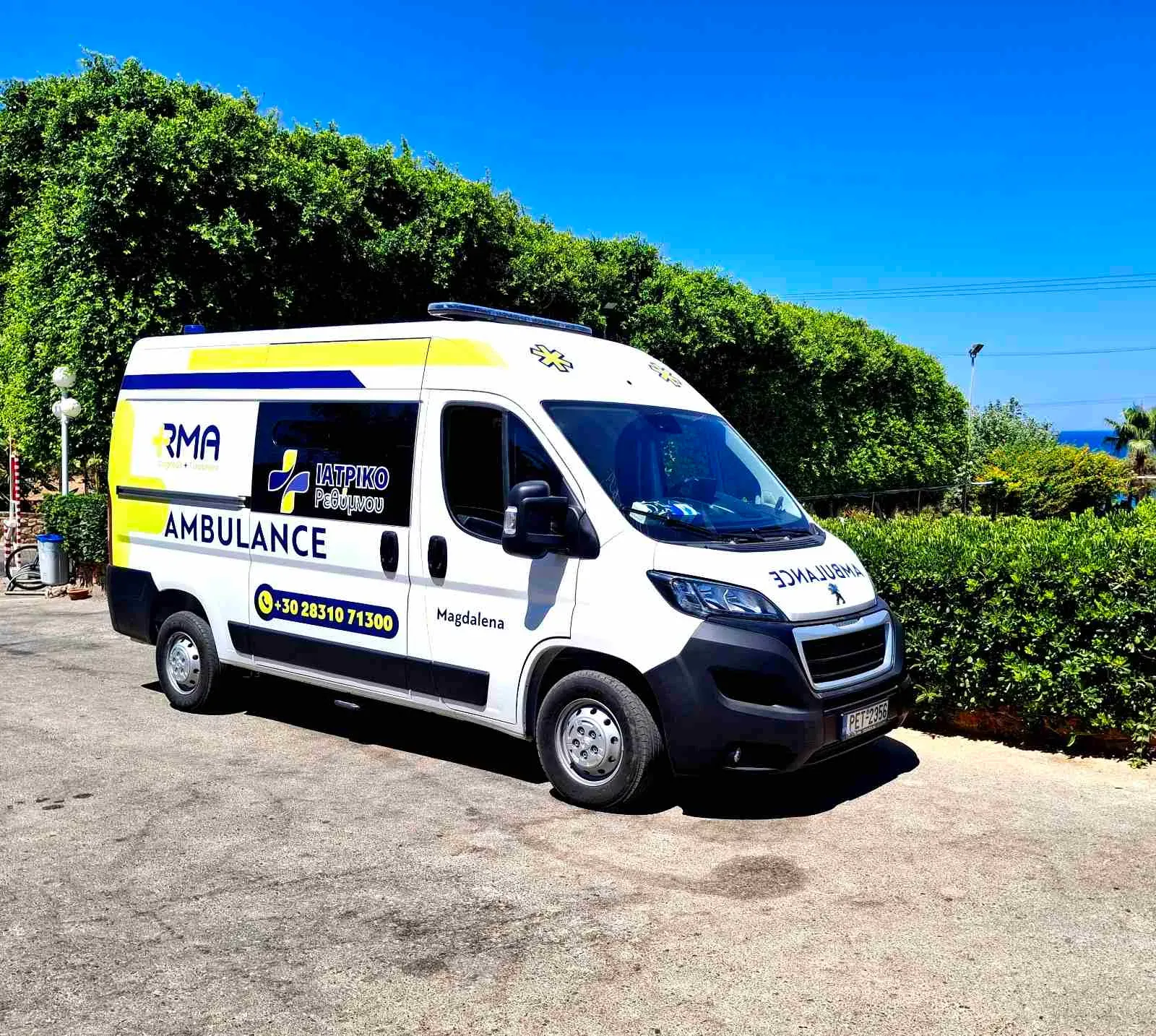 Ambulance Service — 17