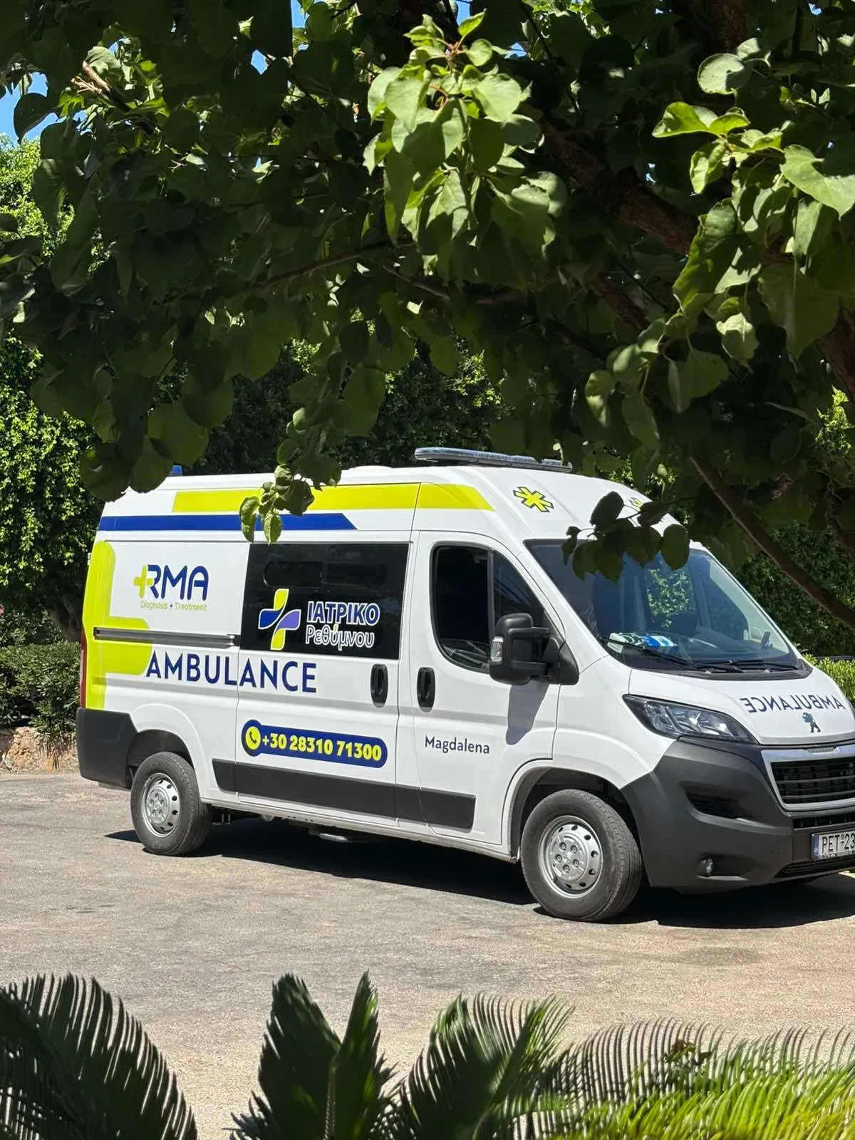 Ambulance Service — 1